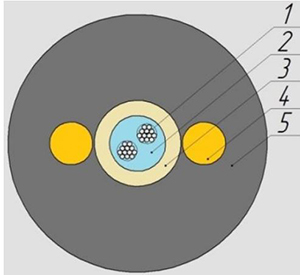 ОКТ-Д_2.jpg ОКТ-Д_2.jpg